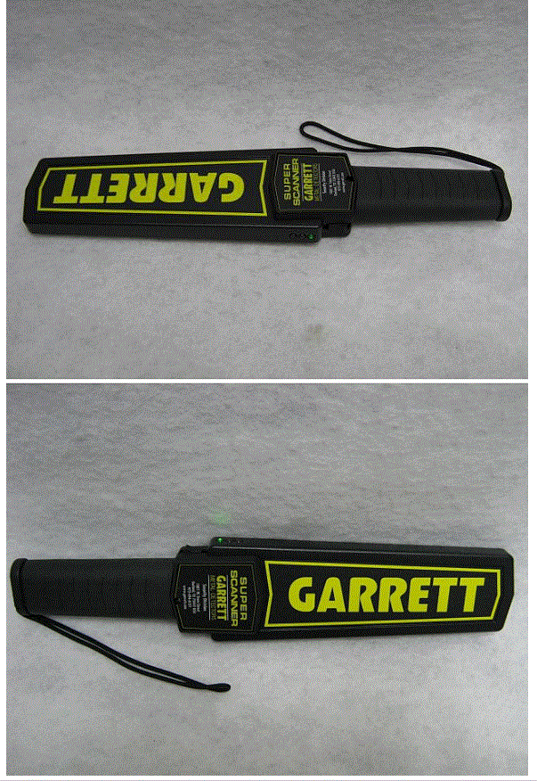 Garrett Scanner 3.GIF